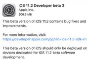 iOS 11.2 beta3̼ôأiOS 11.2 beta3̼ļ[ͼ]