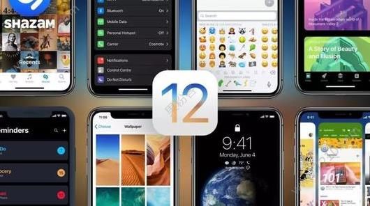 ios12ƳֽܣΪֻ[ͼ]ͼƬ1