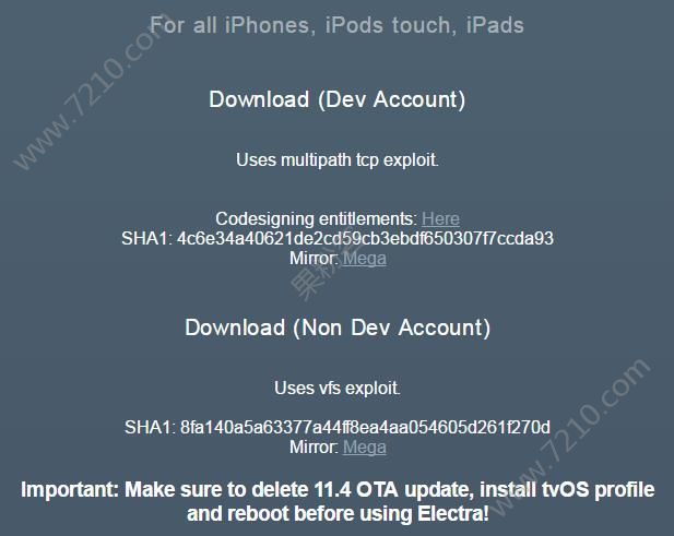 ElectraԽ1.0.3淢֧iOS11.4beta1-beta3̳̣[ͼ]ͼƬ2