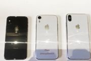 5.8/6.1/6.5ӢiPhoneڰֵع⣺ΨLCD۰õ[ͼ]