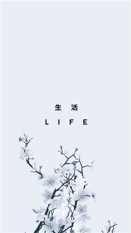 ֽ0808126ڣiphoneڰ׼ָֽͼƬȫ[ͼ]ͼƬ13