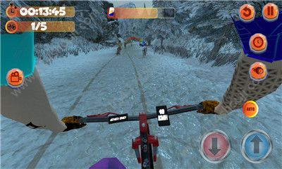 MTB Downhill 2ϷֻͼƬ1