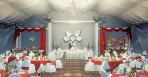 ģ°ϷWedding Designer v1.0ͼ3