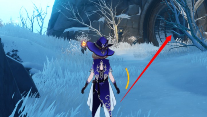 原神雪山三个匣子模式在哪？雪山三个匣子位置任务攻略[多图]图片10