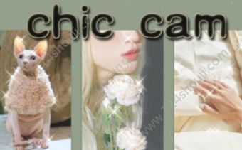 chiccamôãͼchiccamʹ÷ָ[ͼ]ͼƬ1