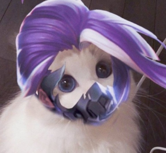 ҫèͷͷȫͷͼƬͷ̳[ͼ]ͼƬ7
