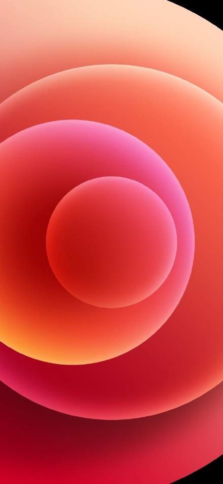 iPhone12ϵԭֽԭͼ v1.0ͼ3