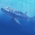 ģϷİ棨Leedsichthys Simulator v1.0.1