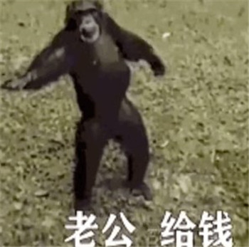 ϹǮӶͼgif v1.0ͼ1