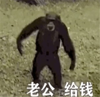 ϹǮӶͼgifͼƬ1