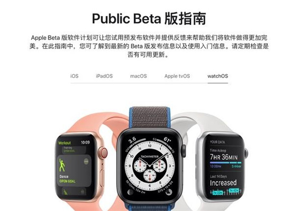 watchOS7.3betaļʽ ͼ1