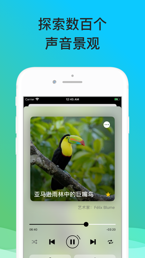 SoundscapesȻAPPٷֻ v1.1ͼ3