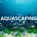 ˮ쾰ģϷĺAquascaping v1.0