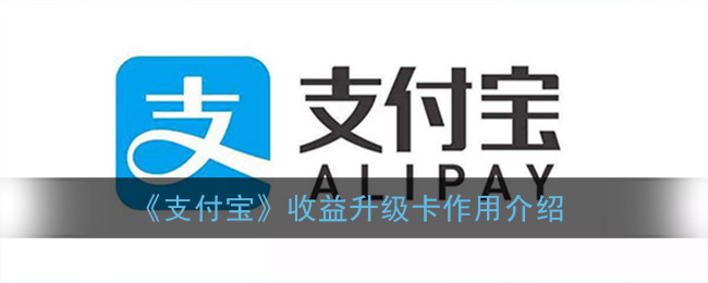 ֧����������������ʲô�ã�������ô���㣿�����������������[��ͼ]