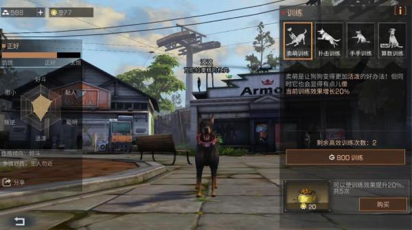 ����֮��Ѱ��Ȯ��ôѵ����Ѱ��Ȯ��ȷѵ������һ��[��ͼ]