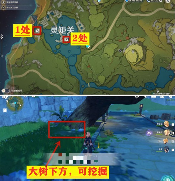 ԭ��​��ع�����������ô��ã���������ع���������λ�ù���[��ͼ]