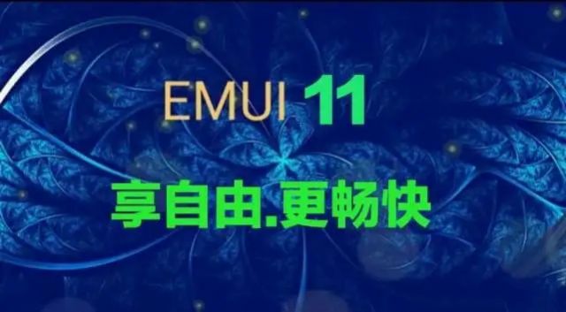 ΪEMUI11°ļװ v1.0.0ͼ1