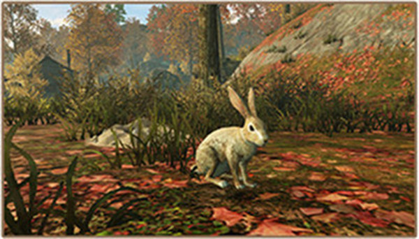 ֮ץʲôץ淨[ͼ]ͼƬ1