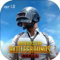 pubg mobile2ʷ