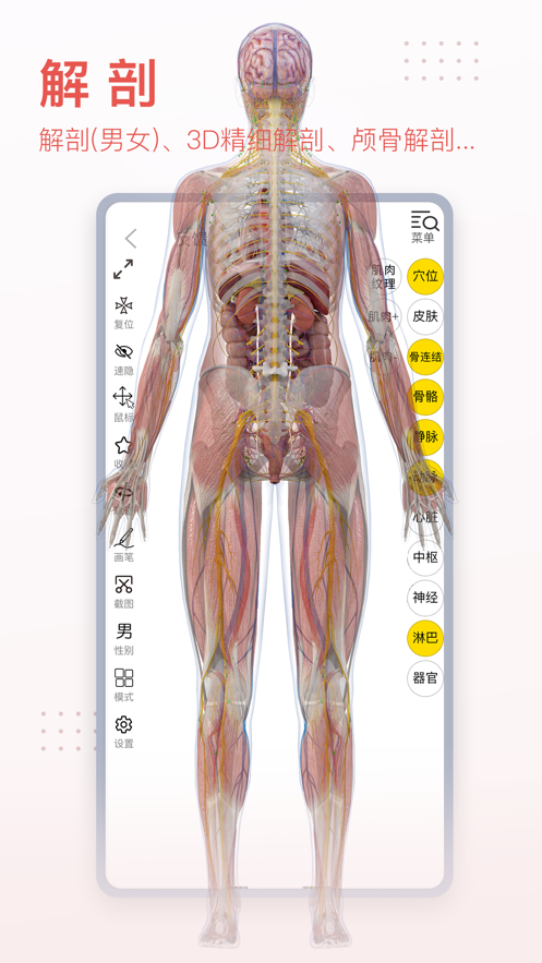 3Dbodyѧappͼ1