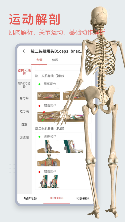 3Dbodyѧappͼ5