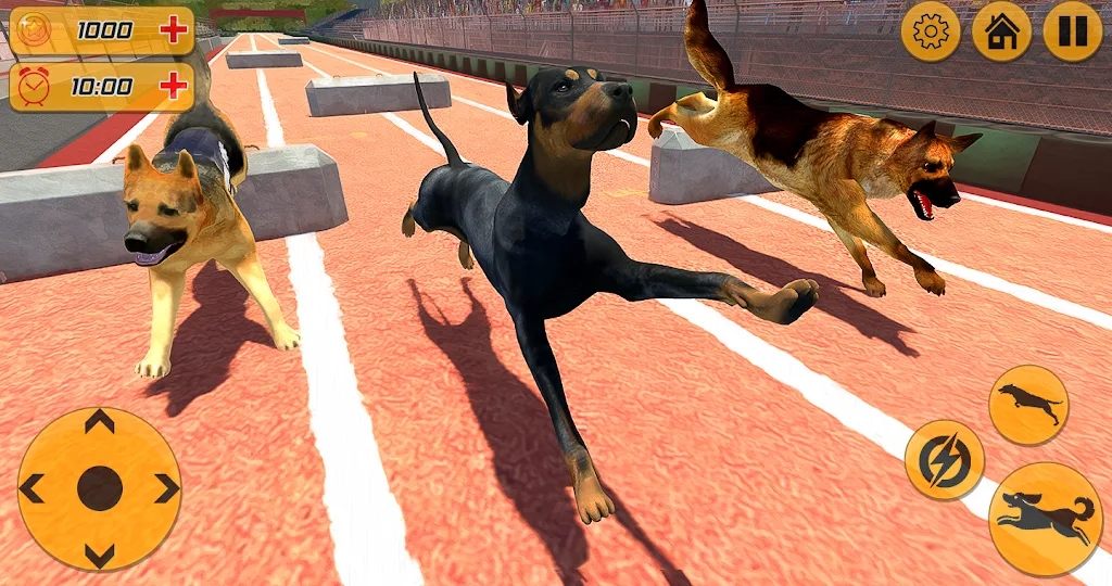 ȮϷٷİ(Dog Racing Action Game)ͼƬ1