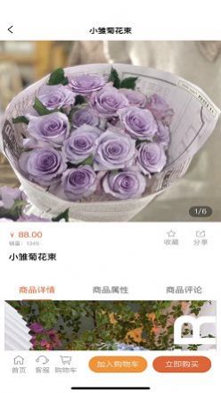 տռApp׿ v1.1.0ͼ3