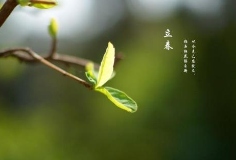 ʱ2021㼸ִ 2021㼸ֶ㴺[ͼ]ͼƬ1