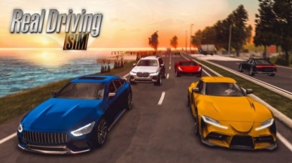 realdrivingsimİĲ v4.3ͼ2