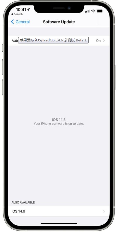 ios14.6beta1ͼ2