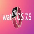 watchOS 7.5 beta2԰ֻ֧