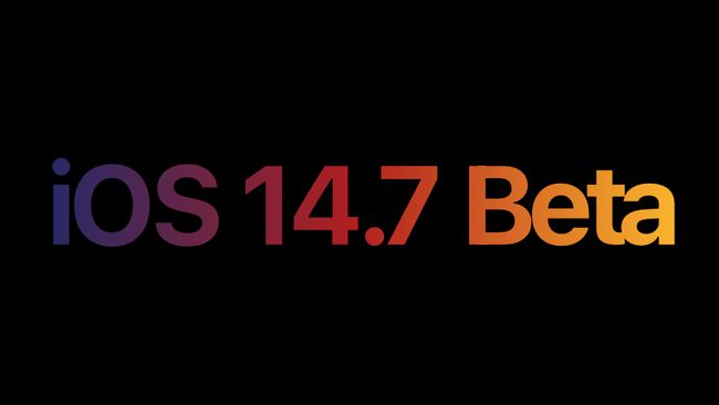 iPadOS 14.7 Beta 1 ͼ1