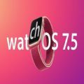 watchOS 7.5ʽ