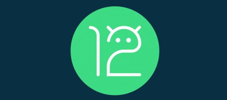 Android 12 Beta 2.1ϵͳٷʽ v1.0ͼ2