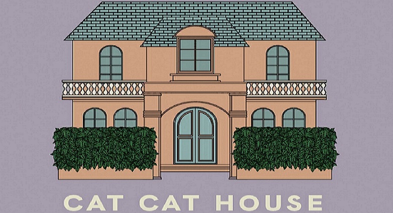 cat cat houseϼ