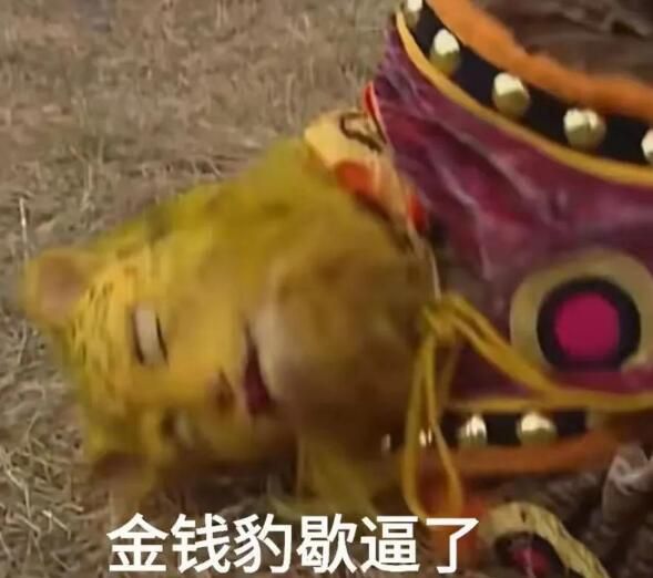 ǮͷͼƬȫǮͼƬμǸ[ͼ]ͼƬ3