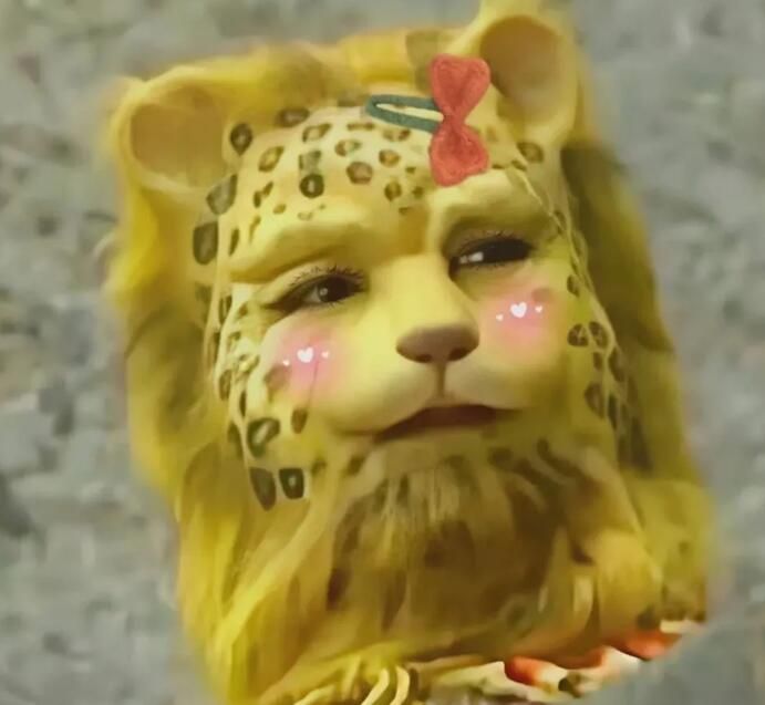 ǮͷͼƬȫǮͼƬμǸ[ͼ]ͼƬ18
