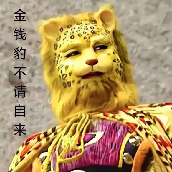 ǮͷͼƬȫǮͼƬμǸ[ͼ]ͼƬ12