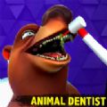Dentist Animal Bling DoctorϷ׿İ v1.2