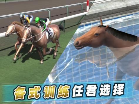 iHorse22ֻϷ° v2.08ͼ1