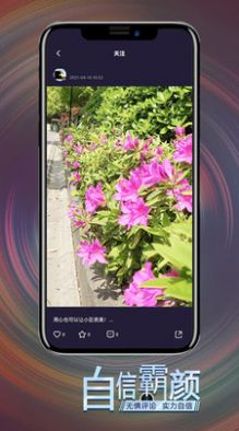 APP°ͼƬ1