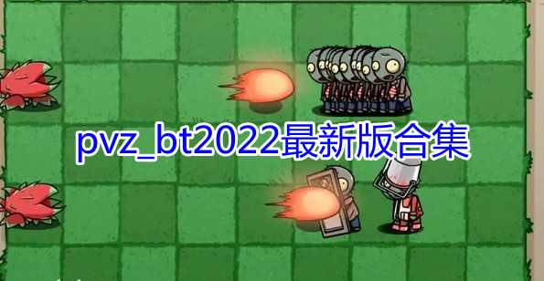 pvz_bt2022°ϼ