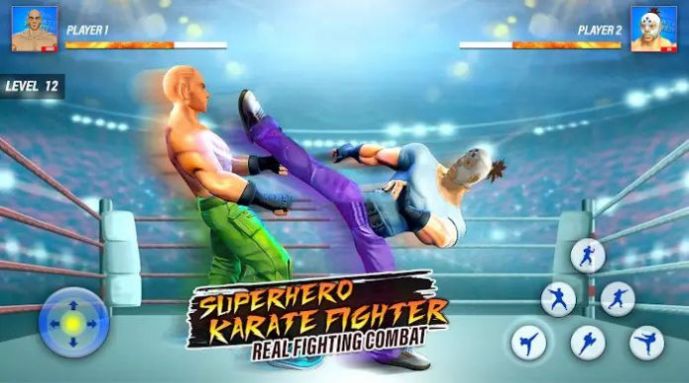 ӢۿֵսʿϷ׿棨Superhero Karaty FighterͼƬ1