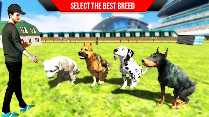 ѵ3DϷ׿ֻ棨Dog Training ; Dog Games 3D v1.3ͼ2