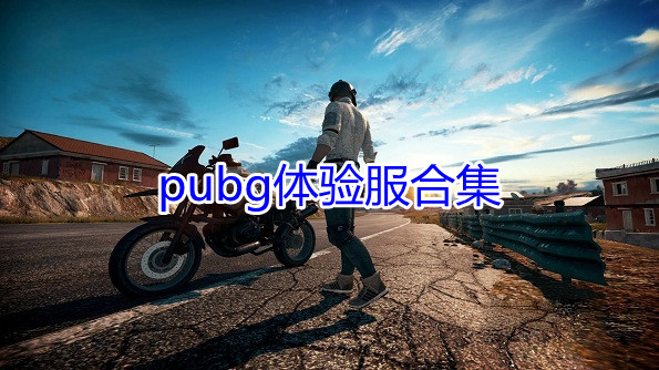 pubgϼ