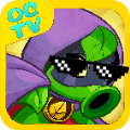 pvzoctv