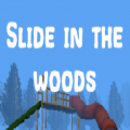 slide in the woodsֻ