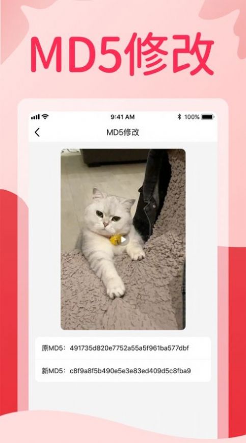 زĶappٷ v1.0.3ͼ2